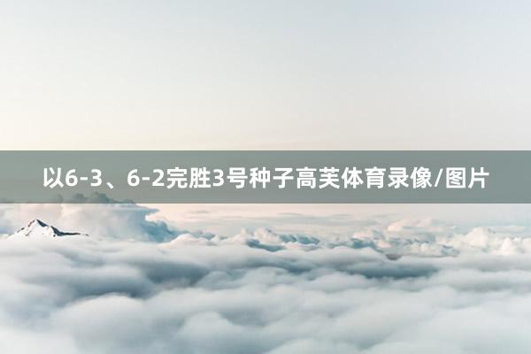 以6-3、6-2完胜3号种子高芙体育录像/图片